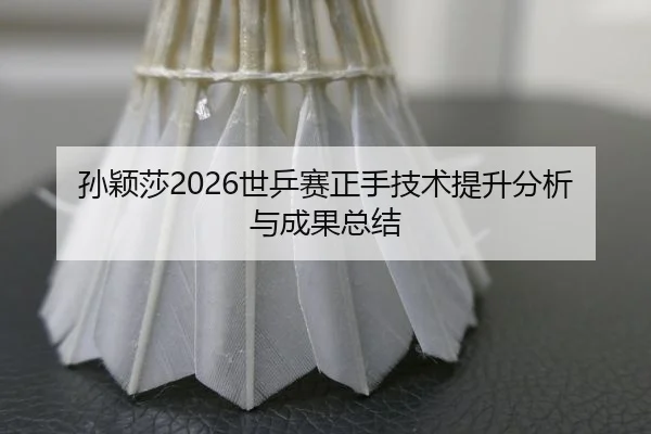 sun-ying-sha-shi-ping-sai-zheng-shou-ji-shu-ti-sheng-fen-xi-yu-cheng-guo-zong-jie-2-372.jpg